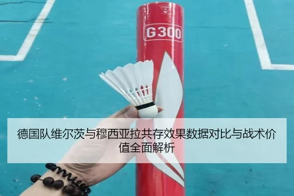德国队维尔茨与穆西亚拉共存效果数据对比与战术价值全面解析
